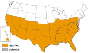 Triatomine Bug Occurrence by State. CHART: CDC