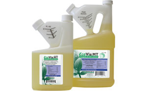 IMAGE: ROCKWELL LABS