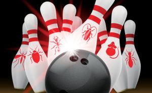 (COVER ILLUSTRATIONS: DUDA VASILLI/SHUTTERSTOCK .COM; ISTOCK .COM/ALEXANDRAGL1)