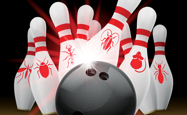 (COVER ILLUSTRATIONS: DUDA VASILLI/SHUTTERSTOCK .COM; ISTOCK .COM/ALEXANDRAGL1)