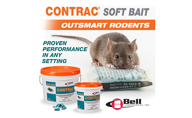 IMAGE: BELL LABORATORIES