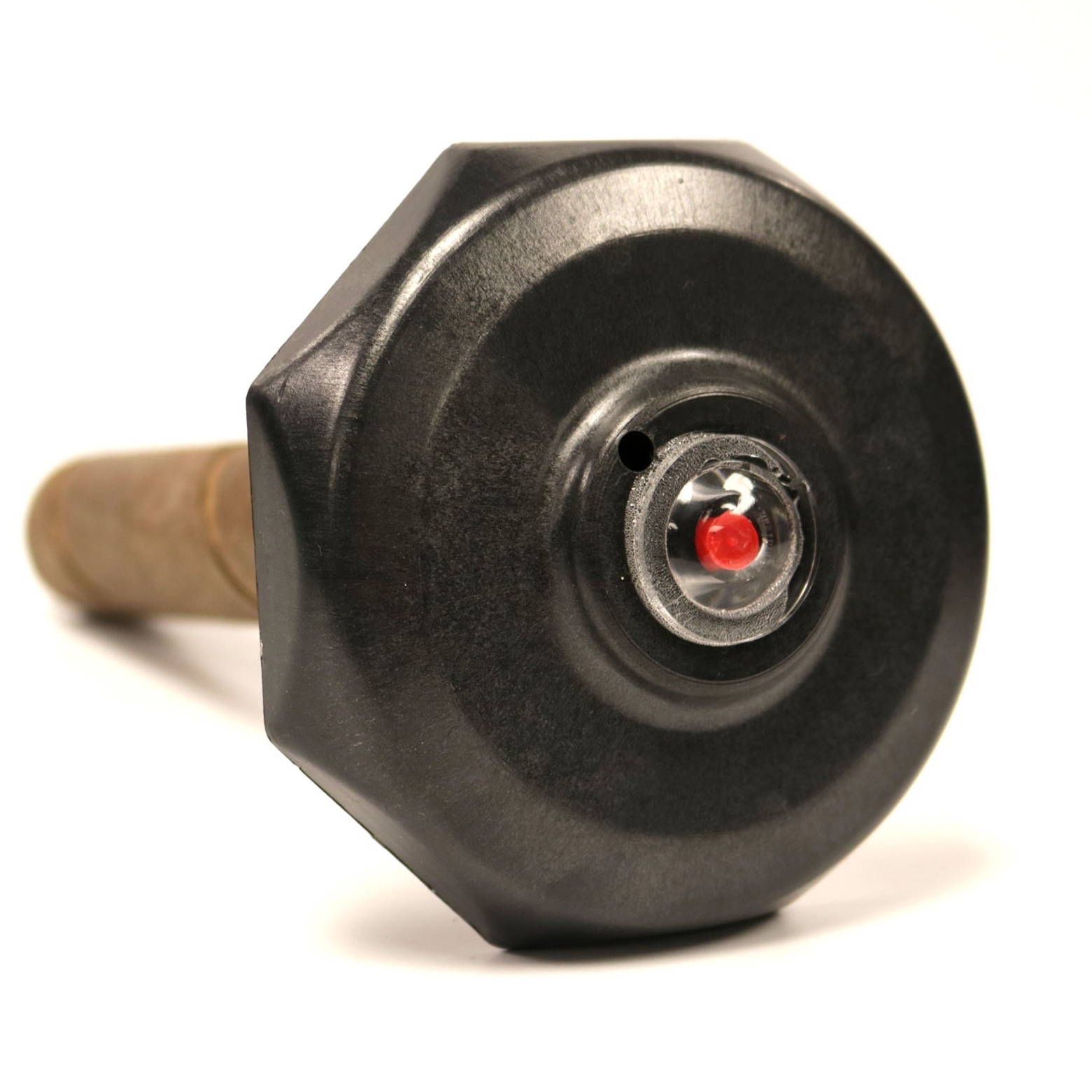 IMAGE: SOLUTIONS PEST & LAWN