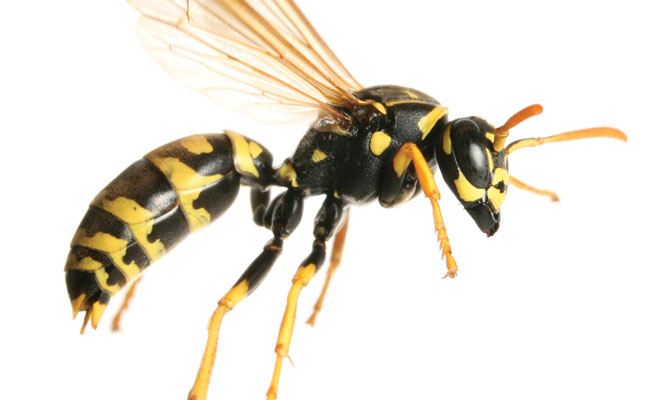 PHOTO: ISTOCK.COM/ANTAGAIN