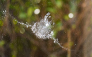 PHOTO: ISTOCK.COM/22KAY22