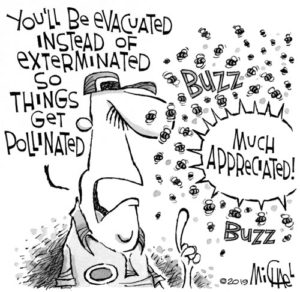 ILLUSTRATION: LEO MICHAEL