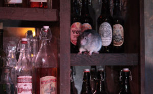 Rat bar (PHOTO: THE SAN FRANCISCO DUNGEON)