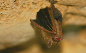 PHOTO: ISTOCK.COM/JOLLYPHOTO