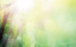 PHOTO: ISTOCK.COM/ROMOLOTAVANI