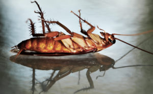 PHOTO: ISTOCK.COM/DRBOUZ