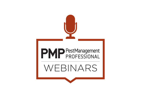 ILLUSTRATION: OLEKSANDR HRUTS/ISTOCK / GETTY IMAGES PLUS/GETTY IMAGES