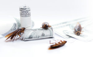 Please Fill Out The Following Fields.