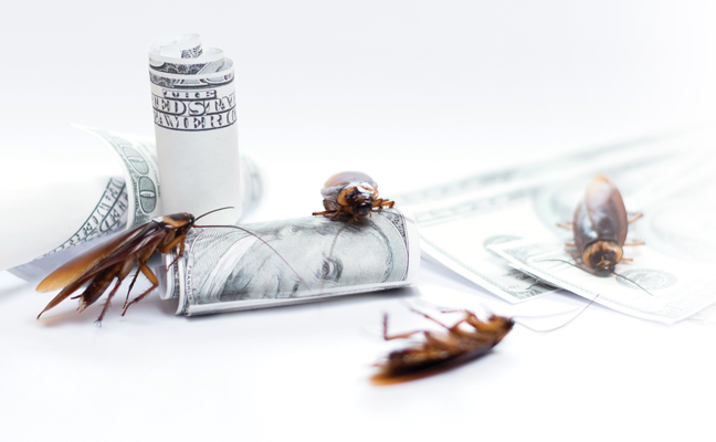 Please Fill Out The Following Fields.