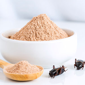 PHOTO: ISTOCK.COM/ARISA THEPBANCHORNCHAI