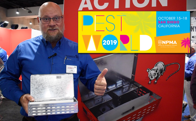 PHOTO: DANIELLE PESTA