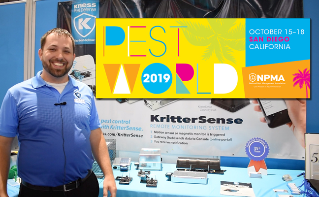 PHOTO: DANIELLE PESTA