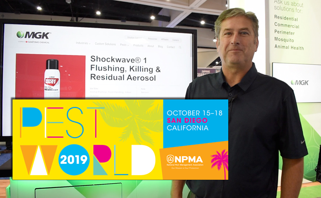 PHOTO: DANIELLE PESTA