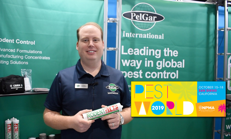 PHOTO: DANIELLE PESTA