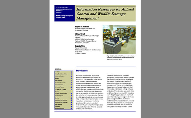 IMAGE: STEPHEN VANTASSEL