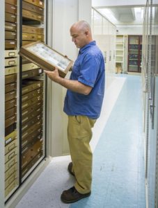 Andy Deans, professor of entomology and director of the Frost Entomological Museum, examines specimens from the museum's collection of more than a million arthropods. PHOTO: NICK SLOFF, PENN STATE DEPARTMENT OF ENTOMOLOGY