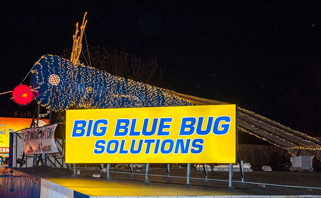 Nibbles in full holiday mode in December 2018. IMAGE: BIG BLUE BUG SOLUTIONS