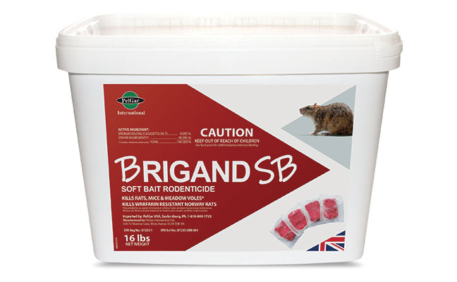 Brigand. IMAGE: PELGAR