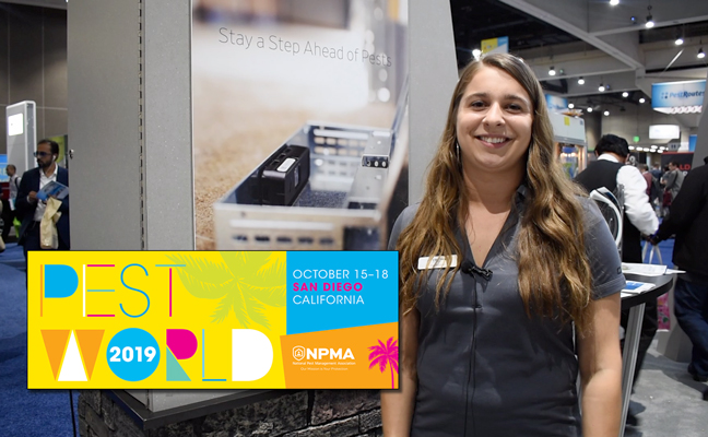 PHOTO: DANIELLE PESTA