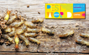 PHOTO: ISTOCK.COM/TOMMYIX