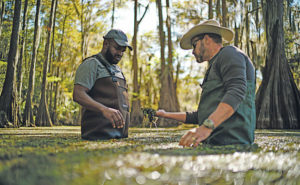 PHOTO: CADDO BIOCONTROL ALLIANCE
