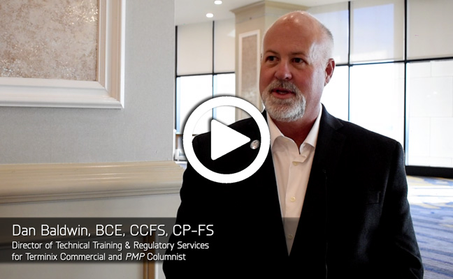 Dan Baldwin. VIDEO STILL: DANIELLE PESTA