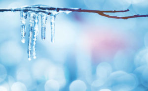 PHOTO: LEONID IKAN/ISTOCK / GETTY IMAGES PLUS/GETTY IMAGES