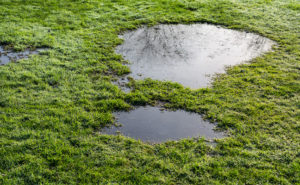 PHOTO: BEELDBEWERKING/ISTOCK / GETTY IMAGES PLUS/GETTY IMAGES