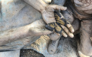 A closeup view of the butterfly in Rachel Carson's hands in "The Entomologist." PHOTO: HEATHER GOOCH