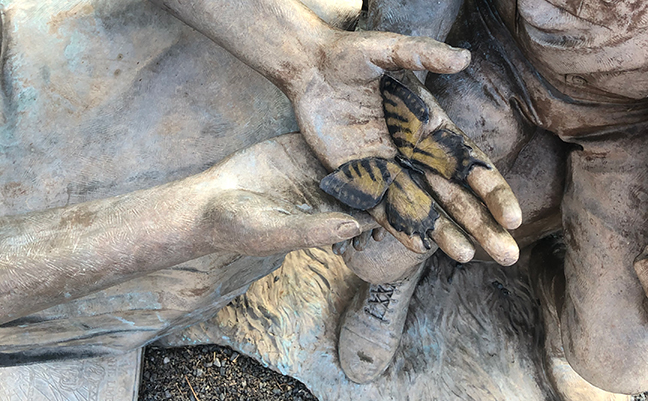 A closeup view of the butterfly in Rachel Carson's hands in "The Entomologist." PHOTO: HEATHER GOOCH