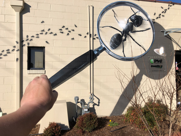 PHOTO: PEST MANAGEMENT SYSTEMS