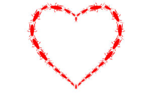 PHOTO: МИХАИЛ СОКОЛОВ/ISTOCK / GETTY IMAGES PLUS/GETTY IMAGES