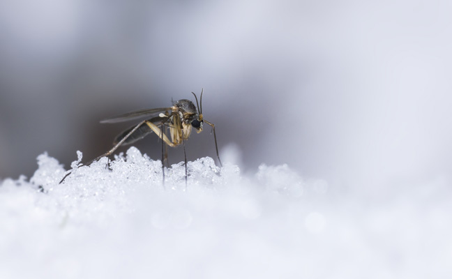 PHOTO: ERIKKARITS/ISTOCK / GETTY IMAGES PLUS/GETTY IMAGES