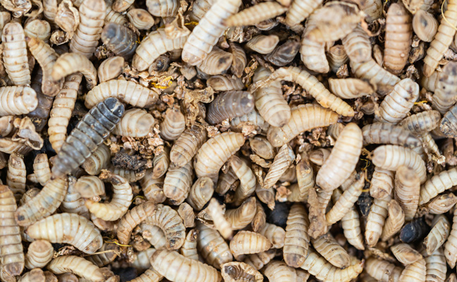PHOTO: ANTOS777/ISTOCK / GETTY IMAGES PLUS/GETTY IMAGES
