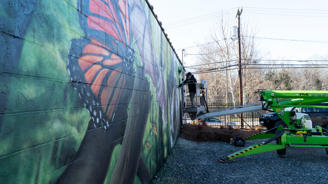 PHOTO: PEST MANAGEMENT SYSTEMS