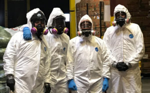 PHOTO: JP MCHALE PEST MANAGEMENT