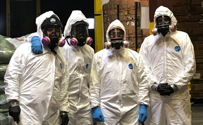 PHOTO: JP MCHALE PEST MANAGEMENT