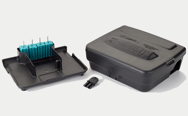 IMAGE: BELL LABORATORIES