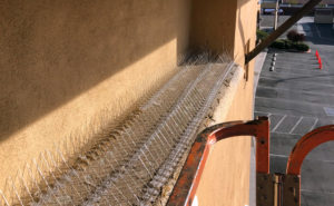 PHOTO: DELCON TERMITE AND PEST CONTROL