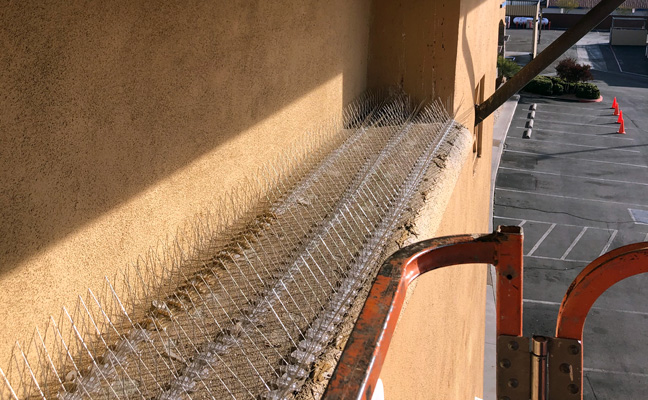 PHOTO: DELCON TERMITE AND PEST CONTROL