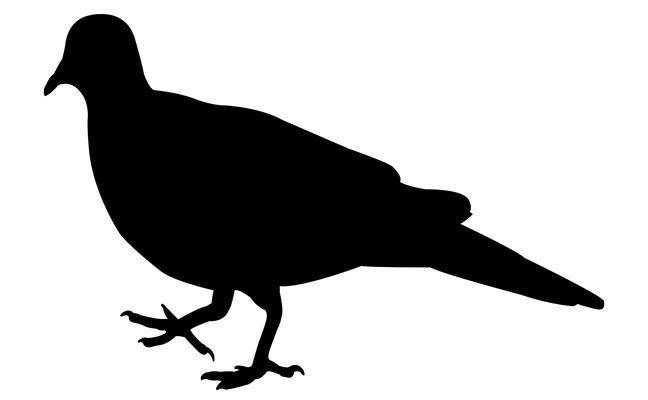 PHOTO: ./ISTOCK / GETTY IMAGES PLUS/GETTY IMAGES