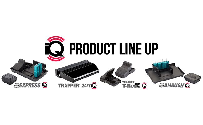 IMAGE: BELL LABORATORIES