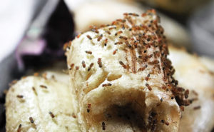 As the old joke goes, “Time flies like an arrow. Fruit flies like a banana.” PHOTO: AKCHAMCZUK/ISTOCK / GETTY IMAGES PLUS/GETTY IMAGES