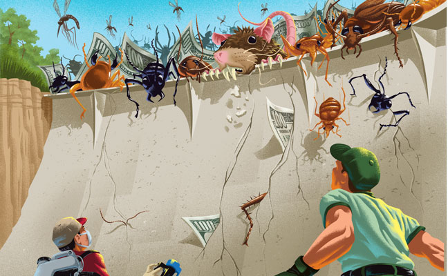 ILLUSTRATION: MIKE RIGHT