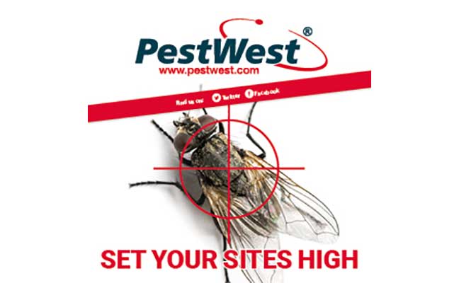 IMAGE: PESTWEST