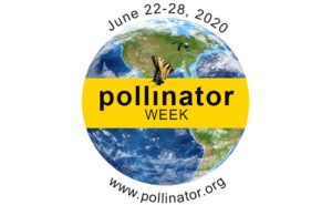 IMAGE: POLLINATOR PARTNERSHIP