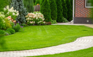 PHOTO: SVPRODUCTION/ISTOCK / GETTY IMAGES PLUS/GETTY IMAGES